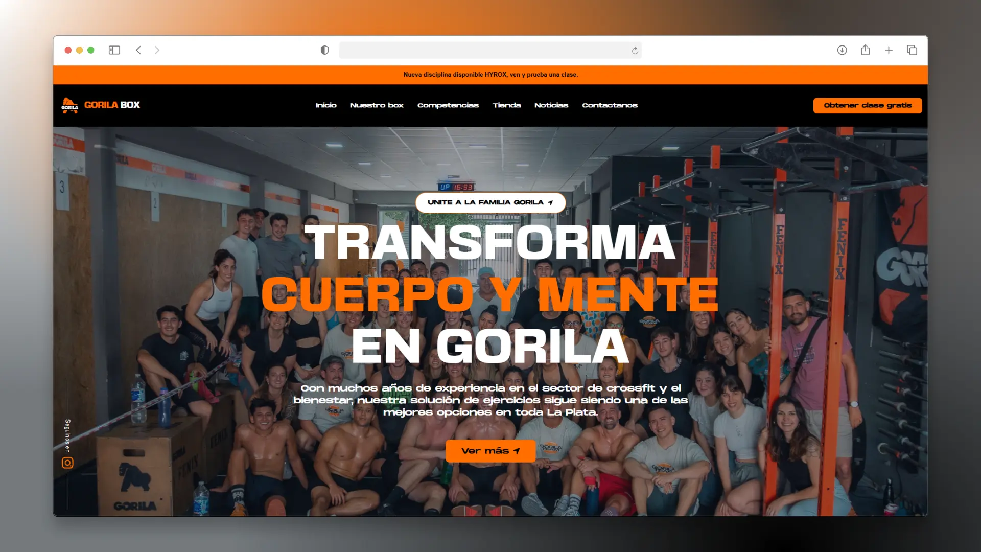 gorila.webp gorila.webp